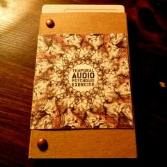 Temporal Audio Psychosis Exercise