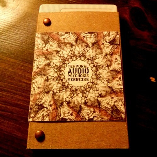 Temporal Audio Psychosis Exercise