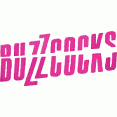 Interview with Steve Diggle - Buzzcocks