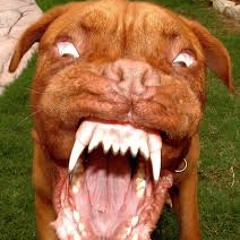 P☢ELE◀☠▶feat. BED--- LeS  AnImAuX  EnRaGéS ---(190)