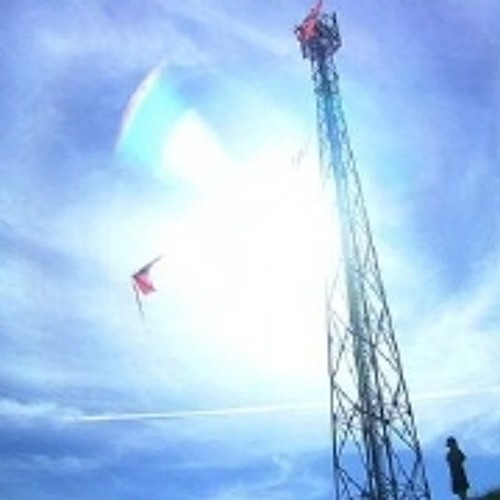 나의 머리카락 뭉치 - 가식