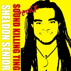 Sheldon Senior - Sound Killing Ting