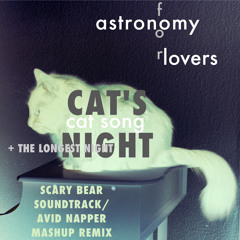 cat's night | cat song + the longest night