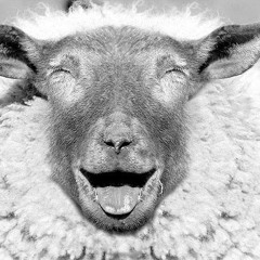 Make My Day 2 [NEUROFUNK]