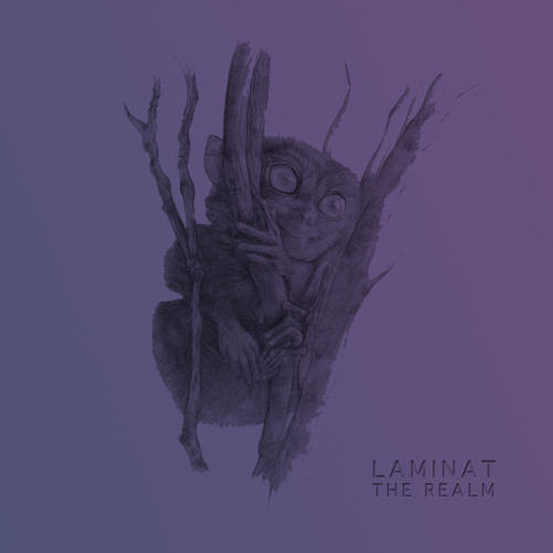 Laminat - The Realm (Thomas Stieler's Togetherness Remix)