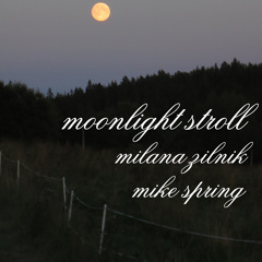 Moonlight Stroll - open collab Milana Zilnik