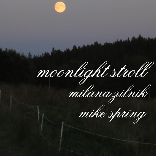 Moonlight Stroll - open collab Milana Zilnik