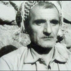 شعر