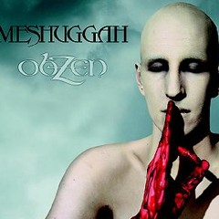 Meshuggah Combustion