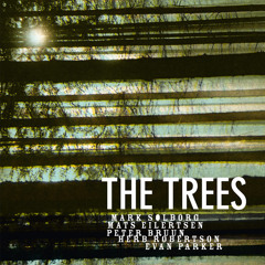 Mark Solborg Trio feat. Robertson & Parker - The Trees