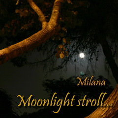 Moonlight Stroll - Open Collaboration