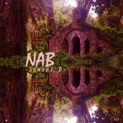 NAB (Prod. by Tobin Supreme)