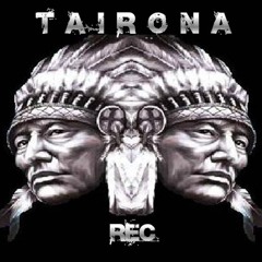 Base tairona studios