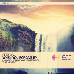 Freydal - When You Forgive (Original Mix)