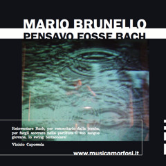 Pensavo fosse Bach | Suite V Preludio | Mario Brunello