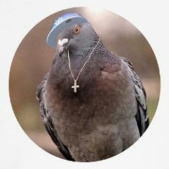 Pigeon - Pigeon Chronicles Pt 1 ft BillyOne and $teph Demo