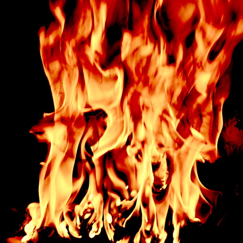 Film Score Series (Animated Action Theme)