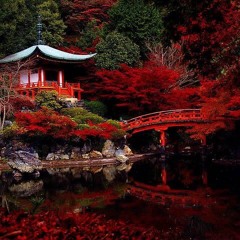 Opening set for Thriftworks