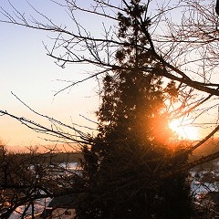 glow を歌ってみた