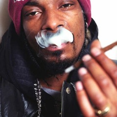 Snoop Dogg - Drop it (DNB Remix - WIP sample)