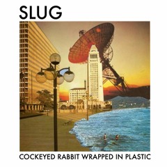 Slug - Cockeyed Rabbit Wrapped in Plastic