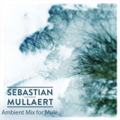 Sebastian Mullaert - Ambient Mix for Mule