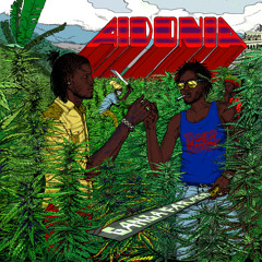 Aidonia - Ganja Farmer [Tiger Shark Records 2014]