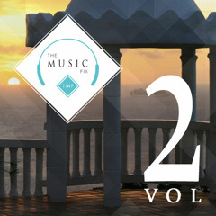 TMF The Music Fix: Vol 2