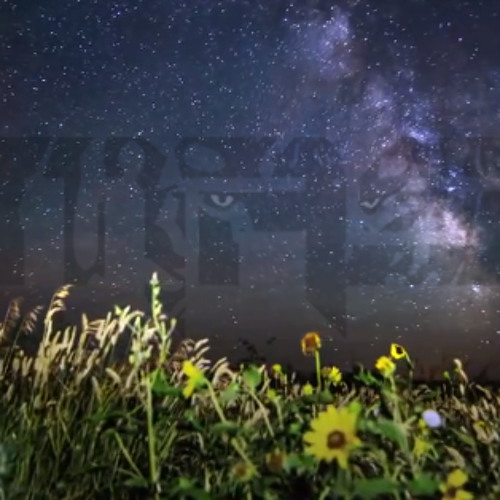 Tygris - Lyra (T-Mass Remix)