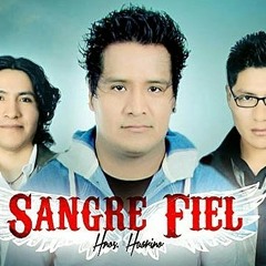 Agrupacion Sangre Fiel - tomar y llorar