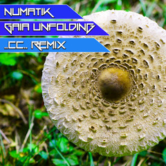 Numatik - Gaia Unfolding (..CC.. Remix)