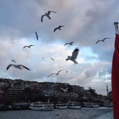 Mohabat-siavash ghomeishi