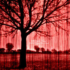 Blood in The Rain - Thumpz Gotti,Young Tank,Lil Coner,Los, Queen B