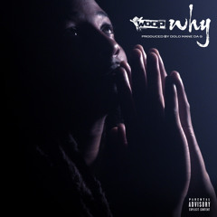 Woop - Why (Clean)