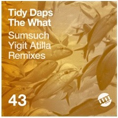 Tidy Daps - The What (Yigit Atilla Remix) UM Records