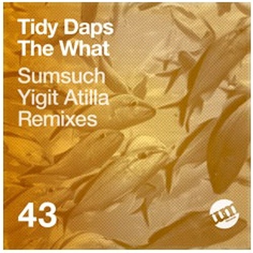 Tidy Daps - The What (Yigit Atilla Remix) UM Records