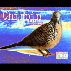 KPtheWavegawd - Chirpin (prod. jahlil beats)