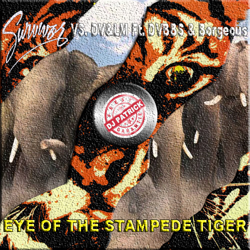 Eye Of The Stampede Tiger (Dj Patrick Peak Hour QH)