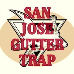 San Jose Gutter Trap - Go Dummy
