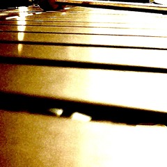 Library Series (Morning Pursuit)