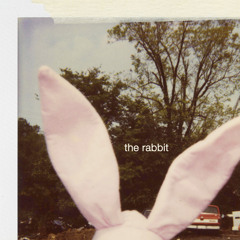 The Rabbit