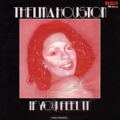 Thelma Houston - If You Feel It (Yohann Levems "for the love of disco" Rework)
