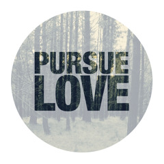 Ext - Pursue Love (Zelmershead Remix)