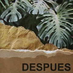 Después