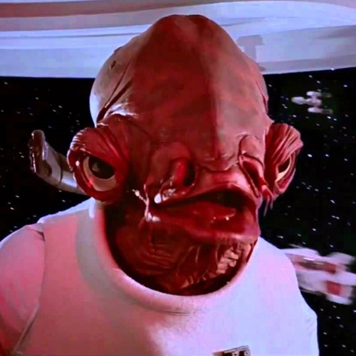Trap n' Stuff