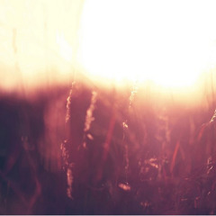 Aurora Feat. Laura Hahn - Fall For You