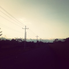 Gone Girl Soundtrack -Not Really