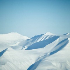 Armeria // While I've Got It Together