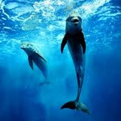 Grand Bleu