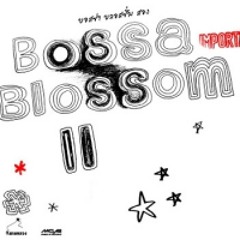 ดาว - MISS LOVE